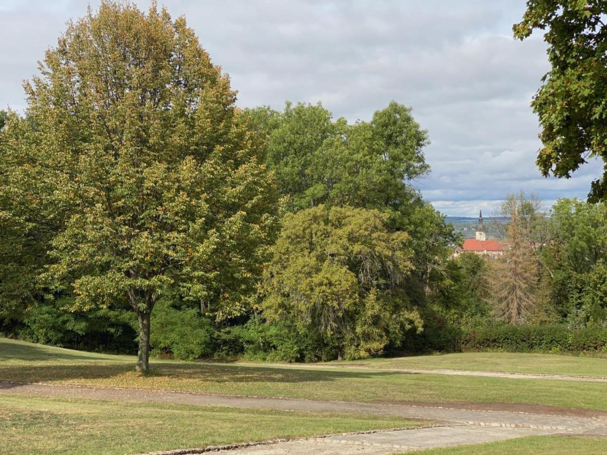 Ferienwohnung Micha'S Stadtblick Naumburg  Buitenkant foto